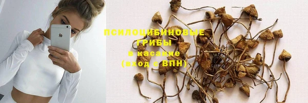 прущие грибы Белоозёрский