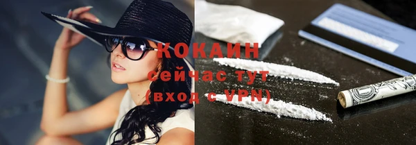 прущие грибы Белоозёрский