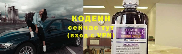 прущие грибы Белоозёрский