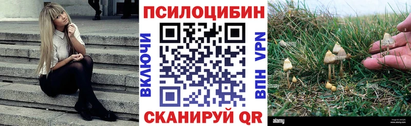 кракен рабочий сайт  Шумиха  Галлюциногенные грибы Cubensis 